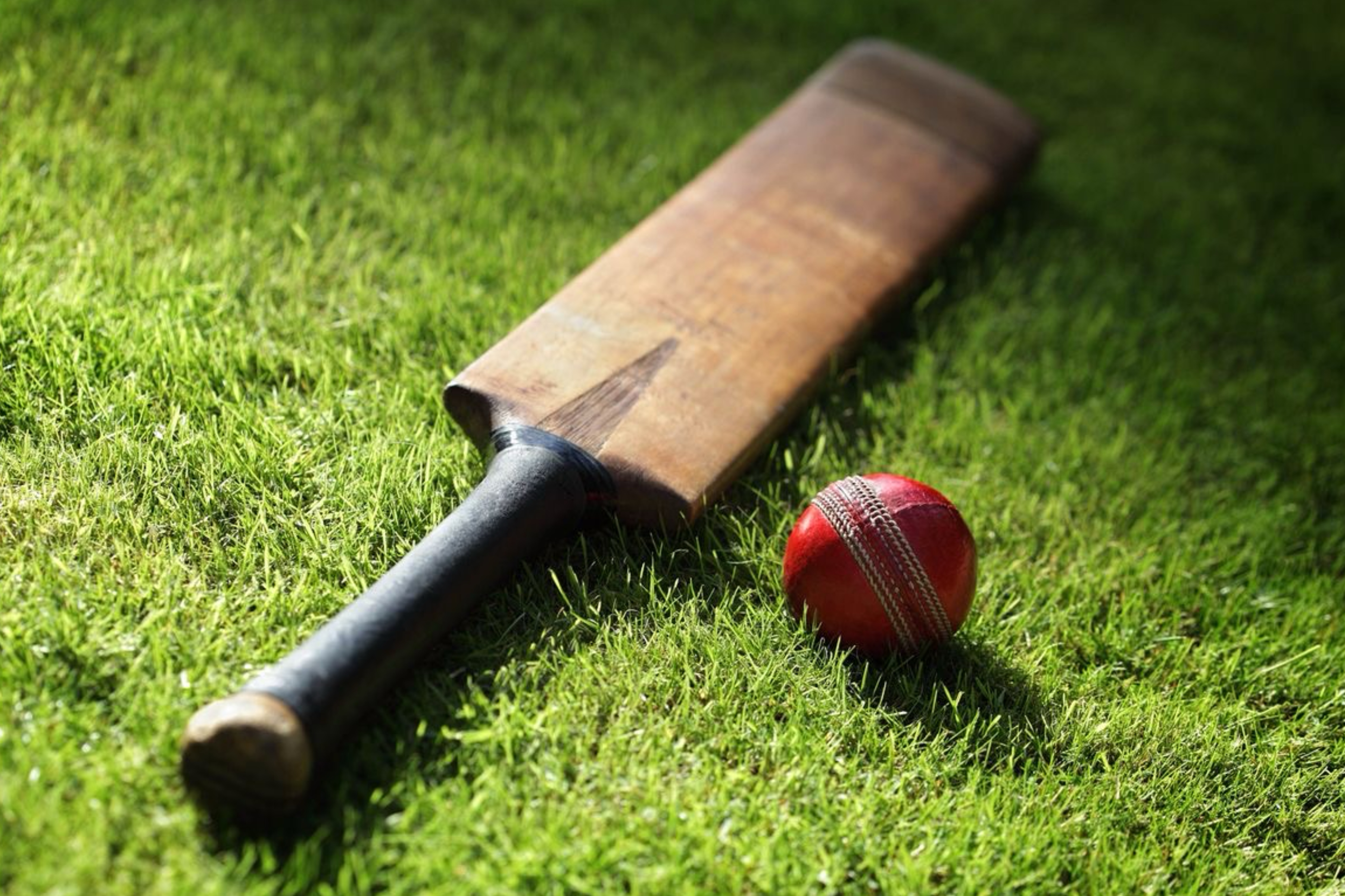CRICKET NETS